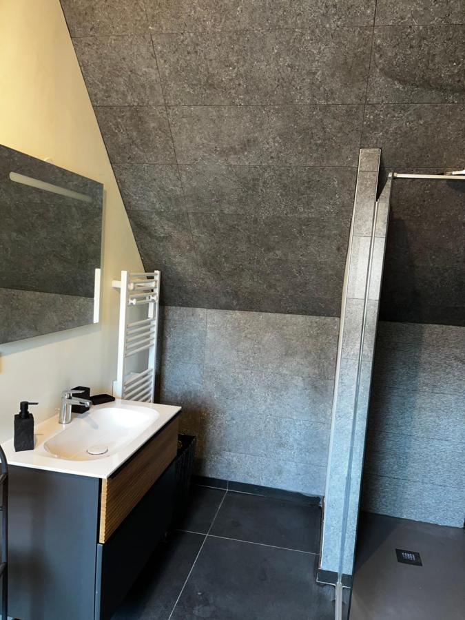 Magnifique Duplex Avec Jaccuzi, Sauna Et Cinema Room Privatif Fontenoy  Kültér fotó